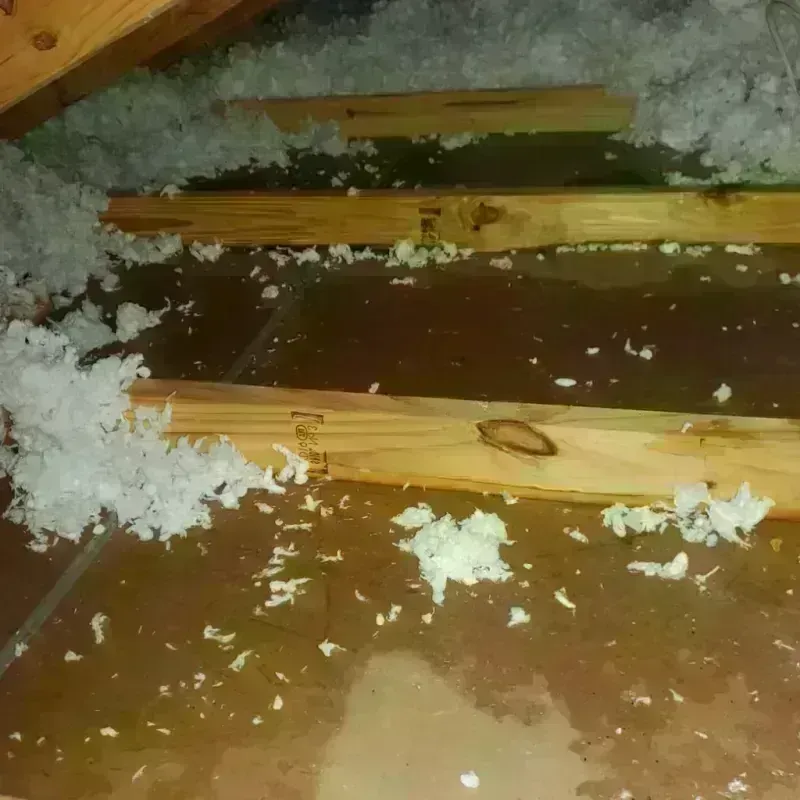 Attic Water Damage in Wasco, IL