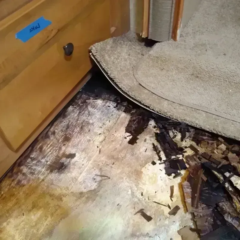 Wood Floor Water Damage in Wasco, IL